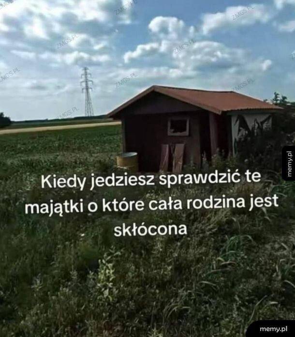hektary pod lasem