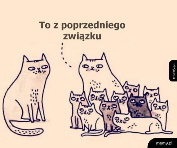 Bagaż z poprzedniego związku