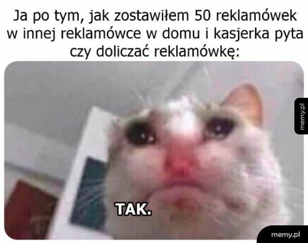 Zakupy