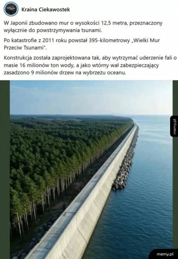 Solidna robota