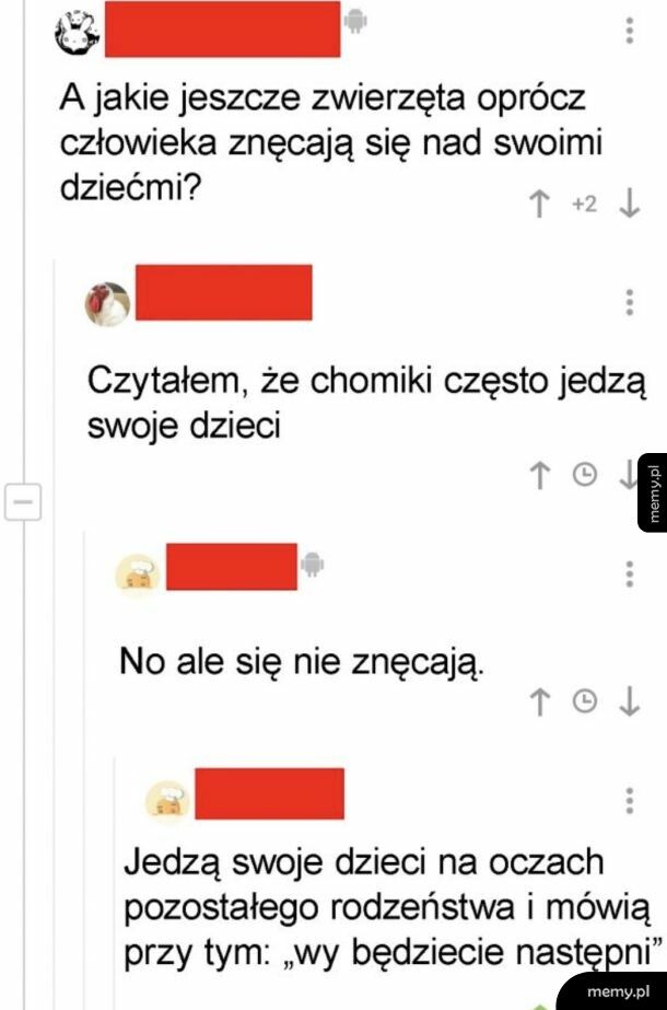 Złe chomiki