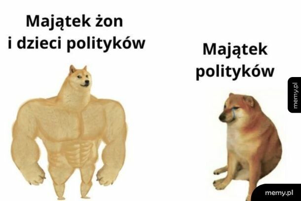 Bogate żony im się trafiają