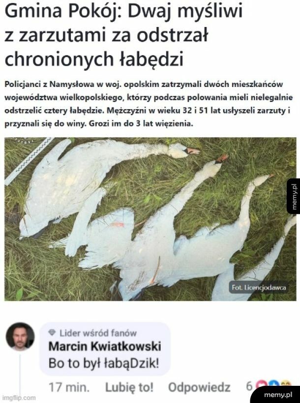 Kiedy odstrzał myśliwych?