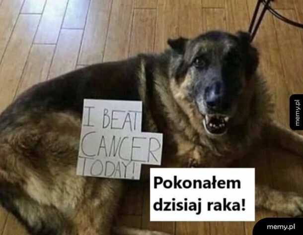 Brawo piesku