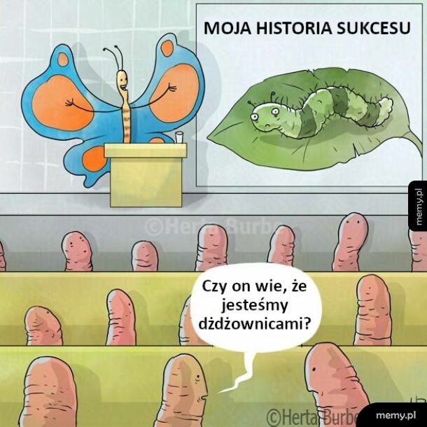 Historia sukcesu