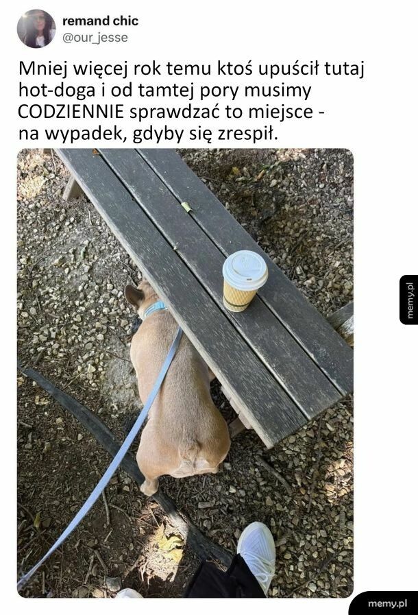 Kto wie, kto wie, może akurat