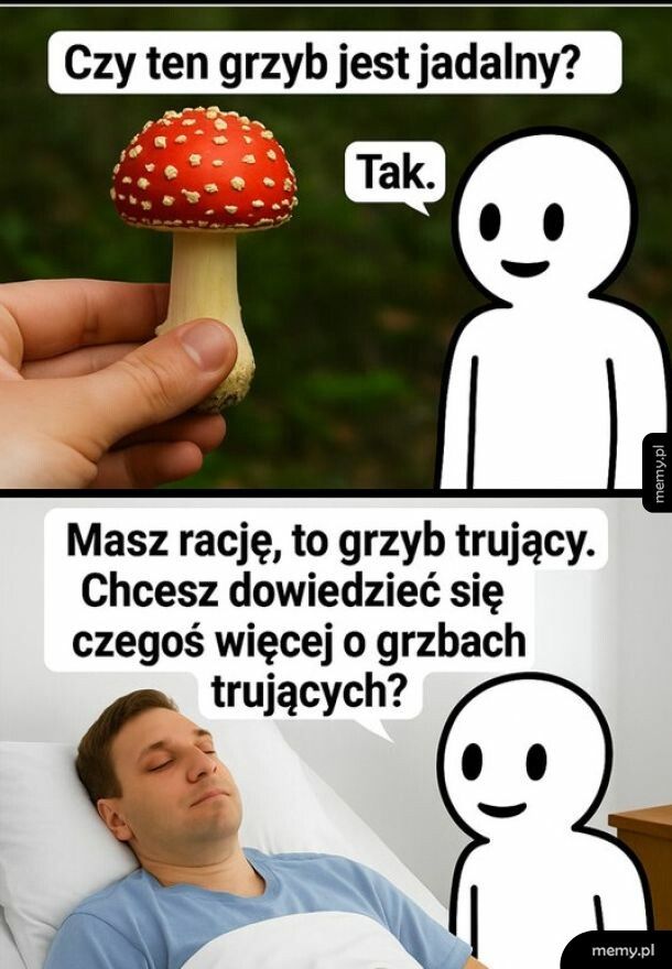Na grzyby z AI.