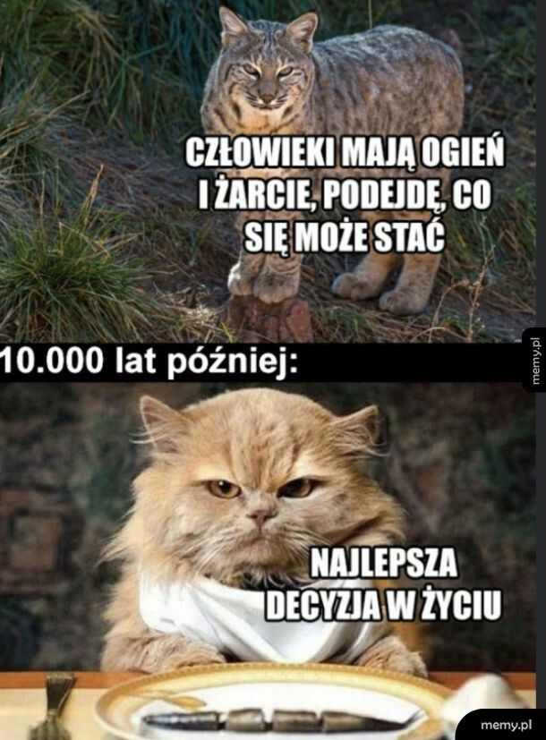Najlepsza decyzja