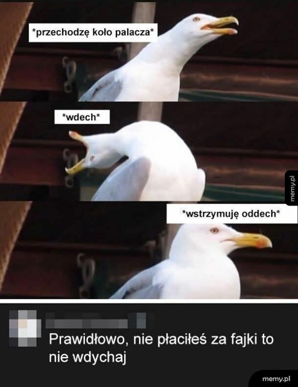 Hehe