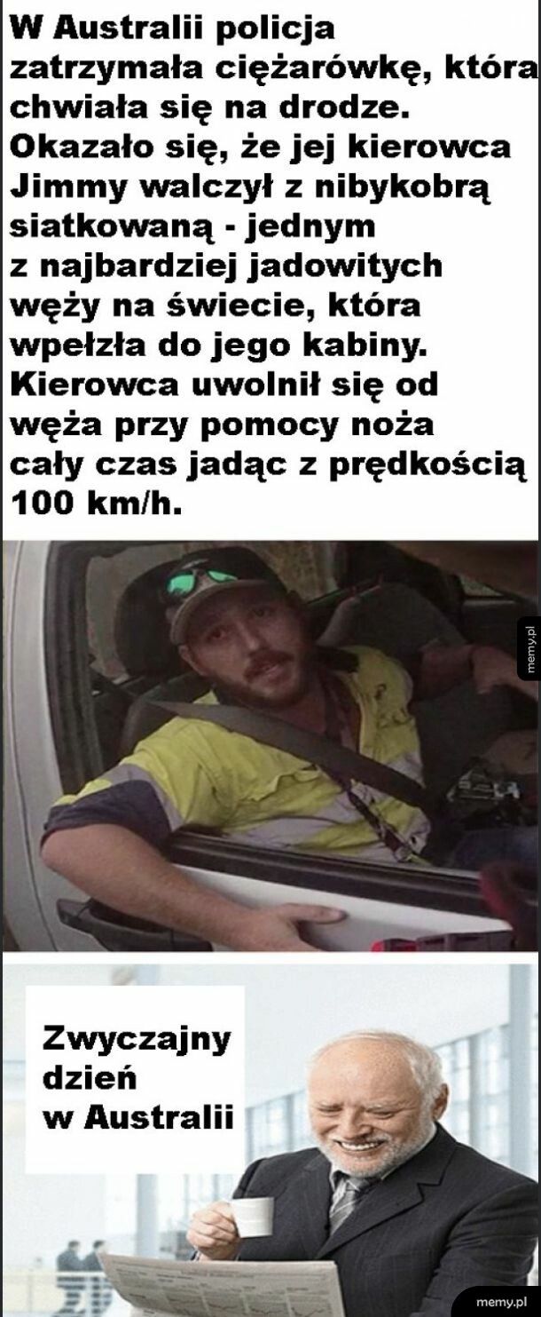 Typowe