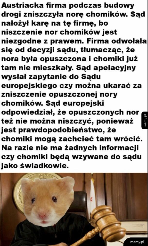 Chomiki wygrały
