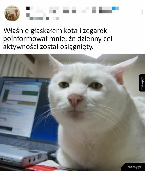 Głaskanie