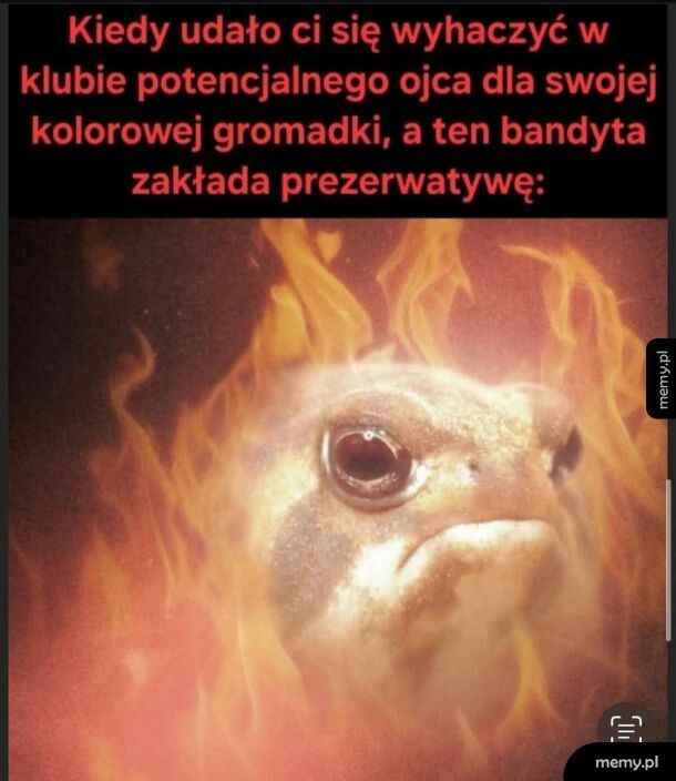 Hehe