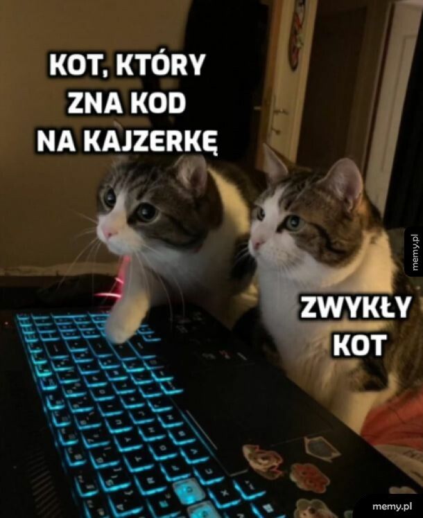 Wtajemniczony