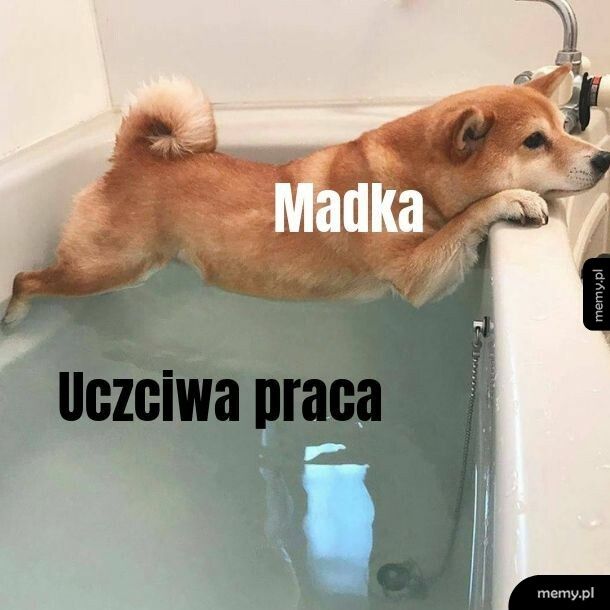 Nie chcę