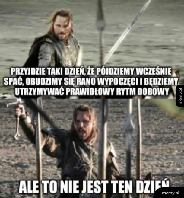 Niestety