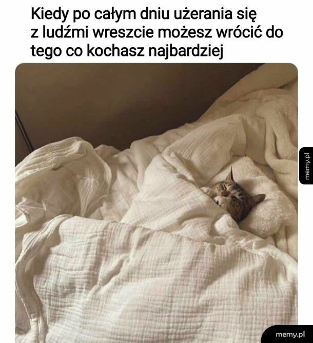 Spokój
