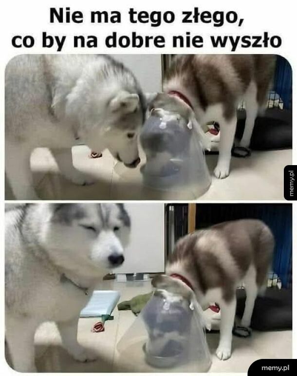 No ba