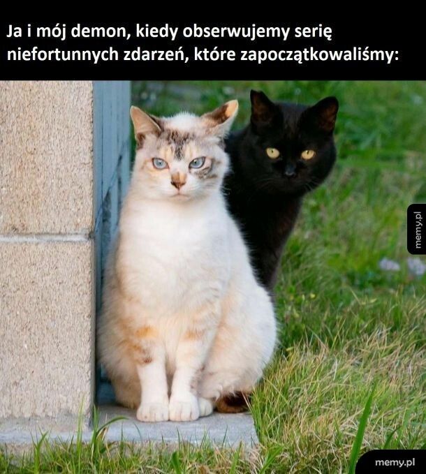 Narobili