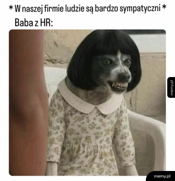 Sympatia aż się wylewa