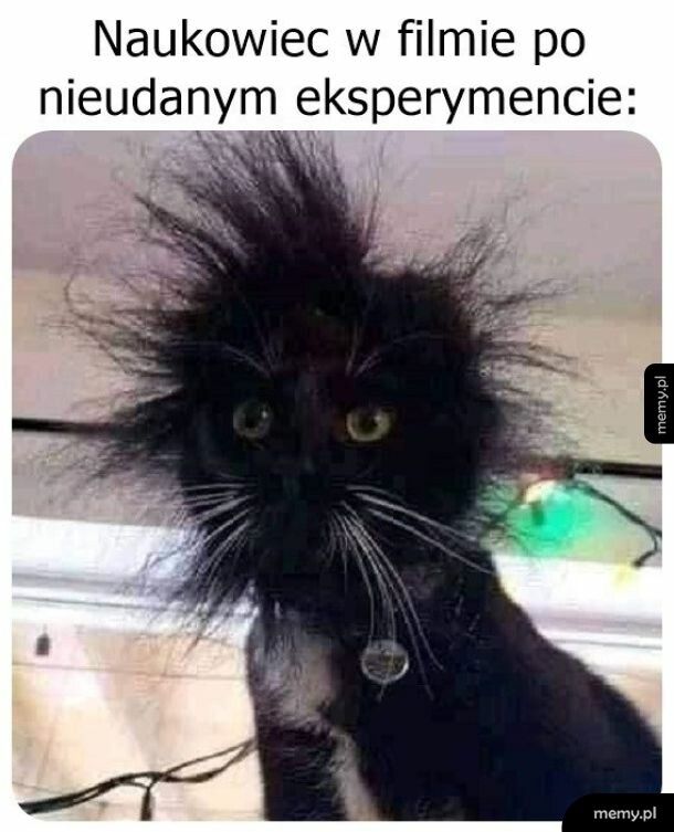 Naukowiec