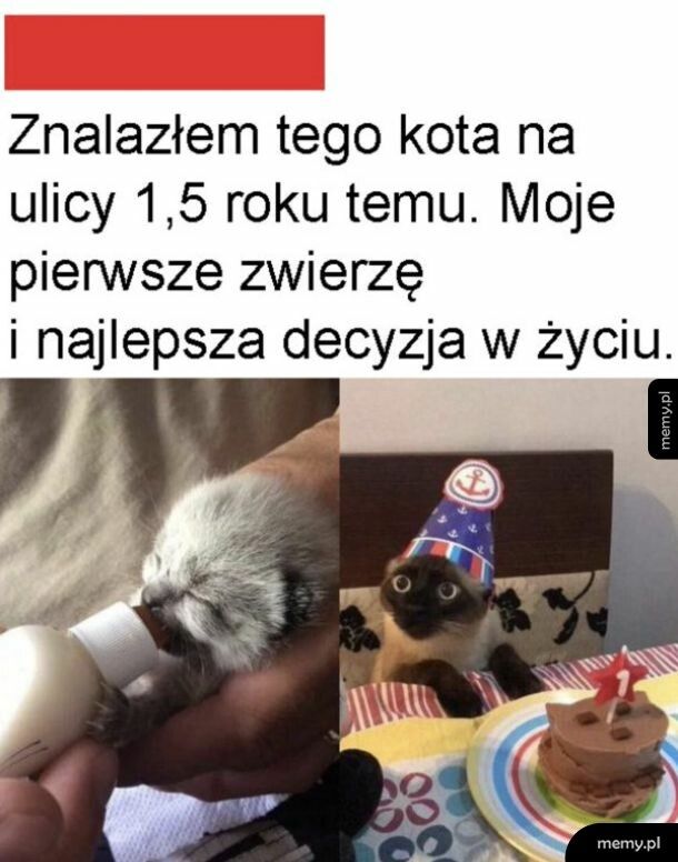 Słodziak