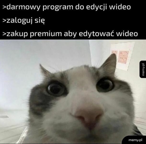 Przeważnie tak jest