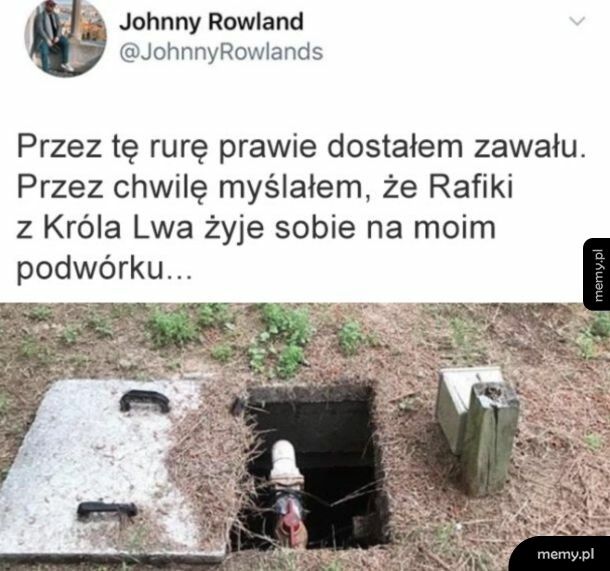 Przewidziało się