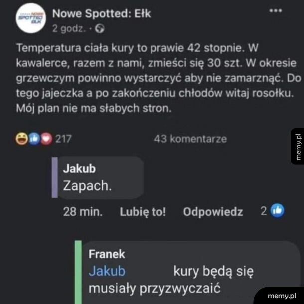 Z kurami