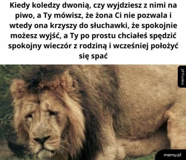 Nie udało się zwalić na żonę