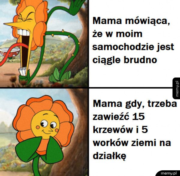 Auto służy do wożenia