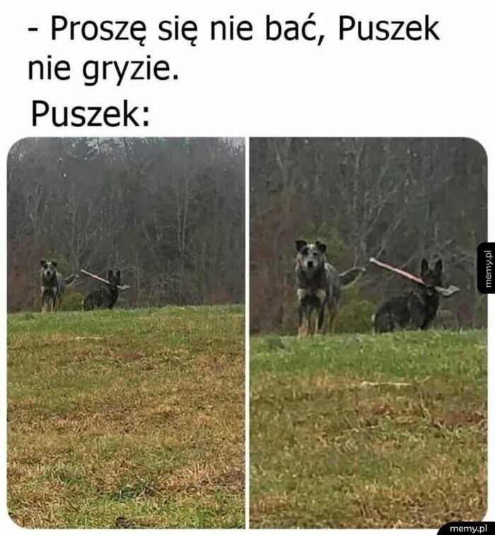 Słodziaczek