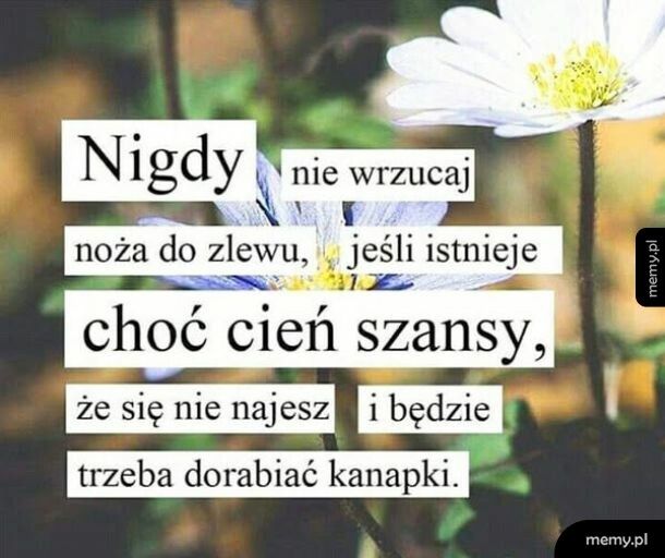 Z cyklu: cytaty mądrych ludzi