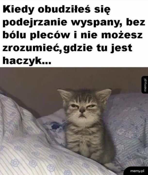 Jak podejrzane, tak nieczęste