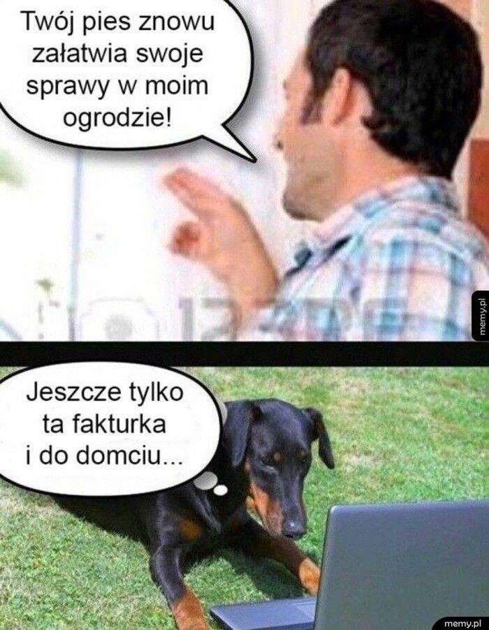 Pozałatwia i sobie pójdzie