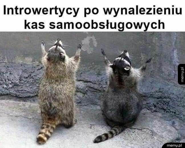 Introwertyk