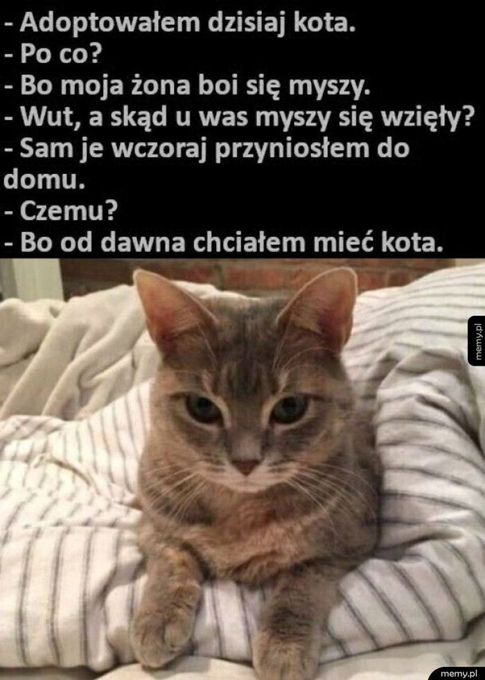 Kiteł