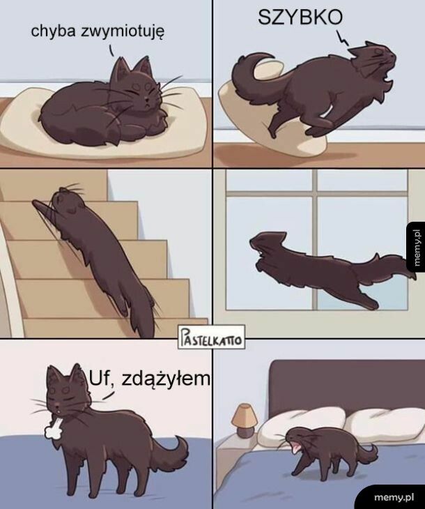 Zdążył