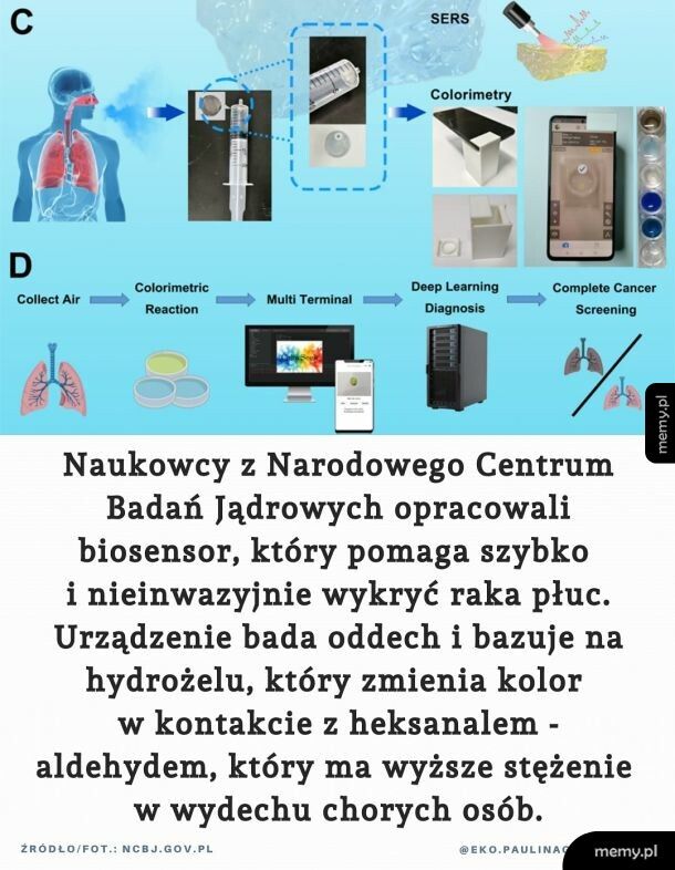 Nieinwazyjna diagnostyka raka płuc