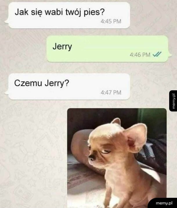 Jerry