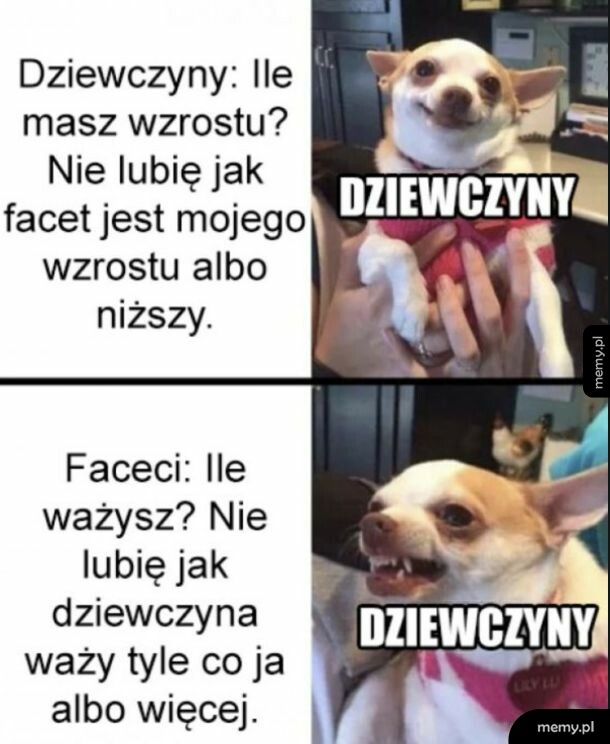 Podwójne standardy