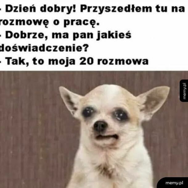 Tytuł