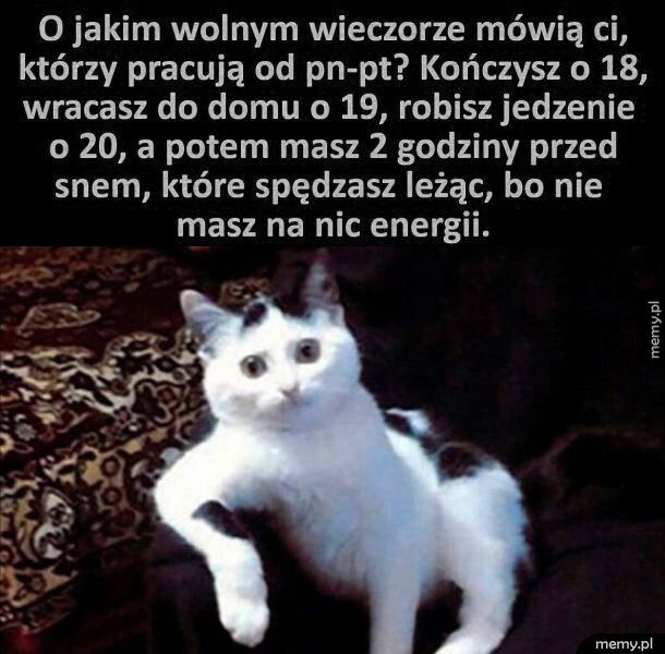 Wegetacja