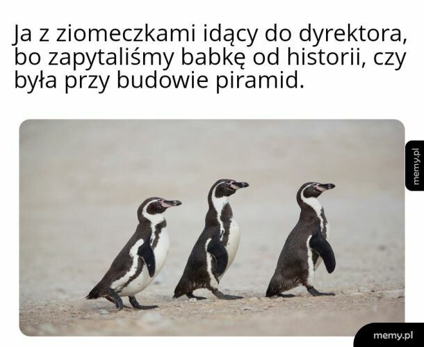 Sieszki