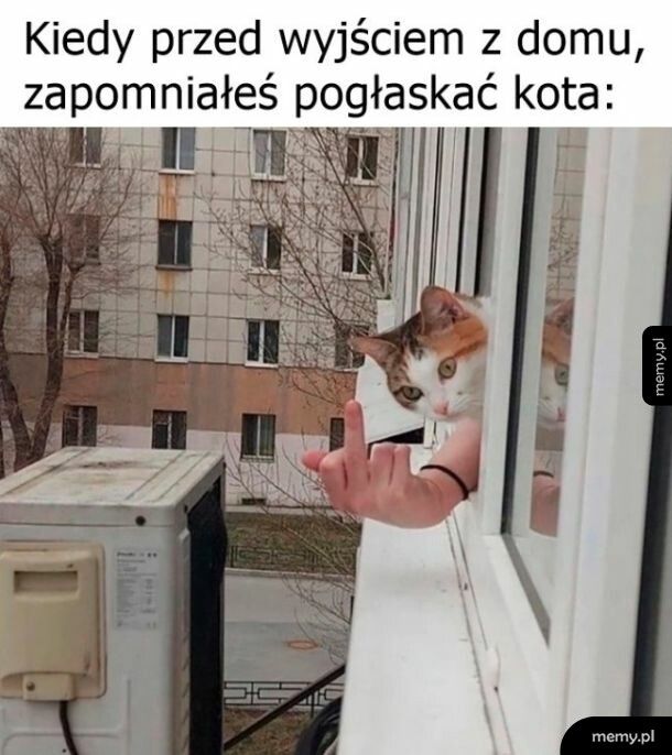 Lepiej nie zapominać   xd