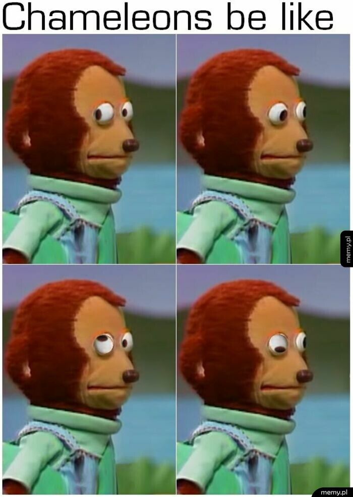 Kameleon
