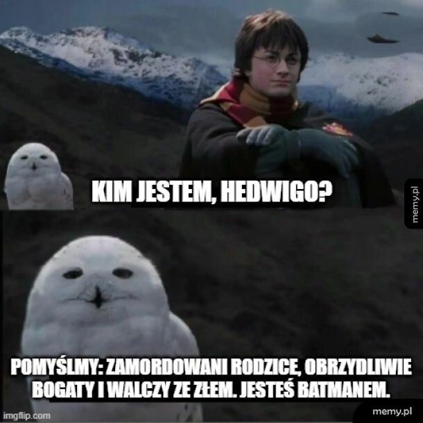 Wszystko się zgadza