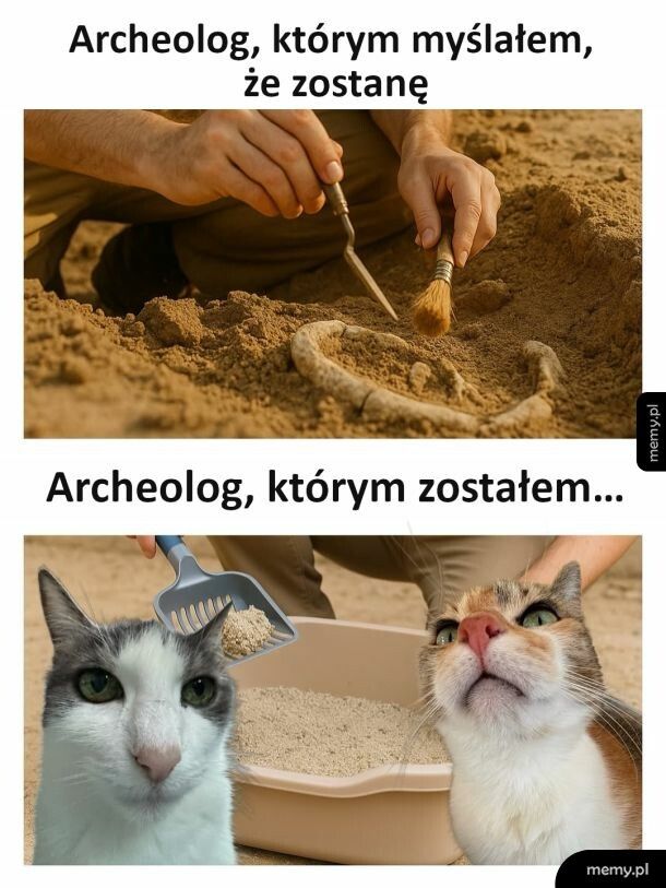 Archeolog