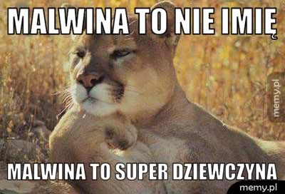 MALWINA TO NIE IMIĘ MALWINA TO SUPER DZIEWCZYNA