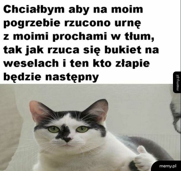 Piękna tradycja